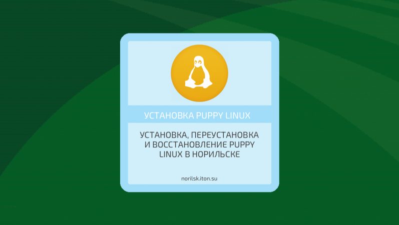 Установка, переустановка и восстановление Puppy Linux в Норильске