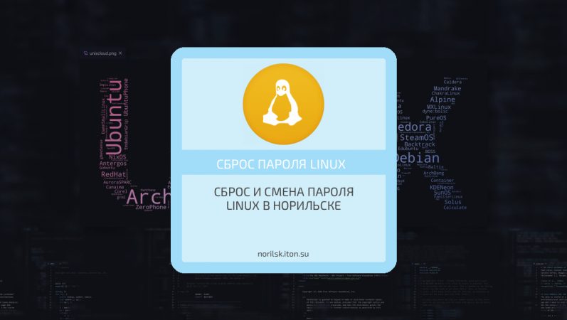 Сброс и смена пароля Linux в Норильске